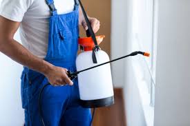 Best Pest Control for Multi-Family Homes  in Rialto, CA